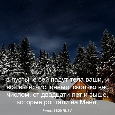 Picture 03 - Числа 14:29 RUSV - в пустыне сей падут тела - Bible Verse Picture