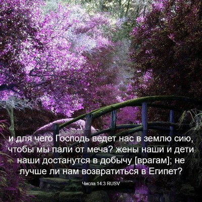 Picture 03 - Числа 14:3 RUSV - и для чего Господь ведет - Bible Verse Picture
