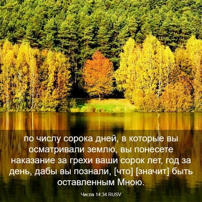Picture 03 - Числа 14:34 RUSV - по числу сорока дней, в - Bible Verse Picture