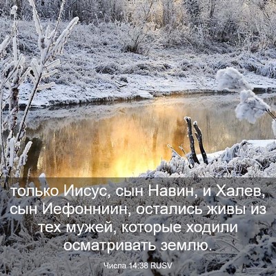 Picture 03 - Числа 14:38 RUSV - только Иисус, сын Навин, и - Bible Verse Picture