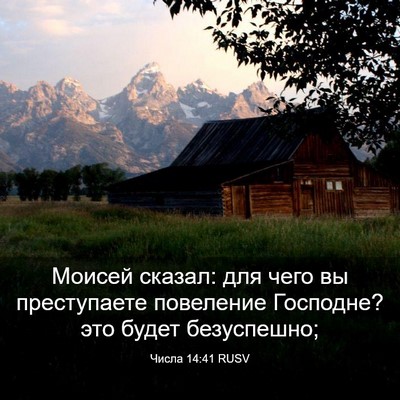 Picture 03 - Числа 14:41 RUSV - Моисей сказал: для чего вы - Bible Verse Picture