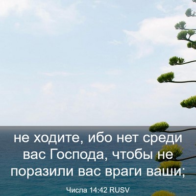 Picture 03 - Числа 14:42 RUSV - не ходите, ибо нет среди - Bible Verse Picture