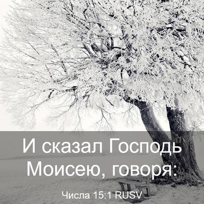 Picture 03 - Числа 15:1 RUSV - И сказал Господь Моисею, - Bible Verse Picture