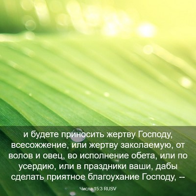 Picture 03 - Числа 15:3 RUSV - и будете приносить жертву - Bible Verse Picture