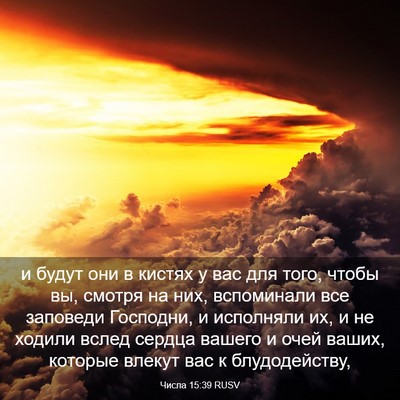 Picture 03 - Числа 15:39 RUSV - и будут они в кистях у вас - Bible Verse Picture