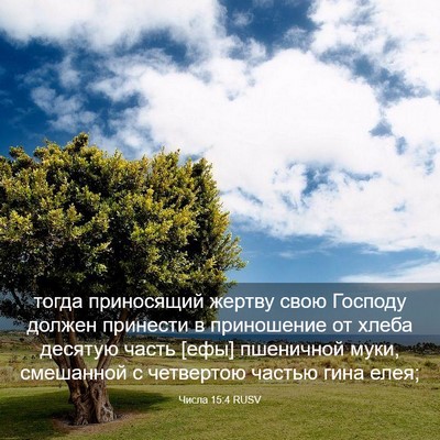 Picture 03 - Числа 15:4 RUSV - тогда приносящий жертву - Bible Verse Picture