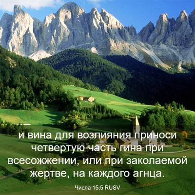 Picture 03 - Числа 15:5 RUSV - и вина для возлияния - Bible Verse Picture