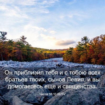 Picture 03 - Числа 16:10 RUSV - Он приблизил тебя и с тобою - Bible Verse Picture