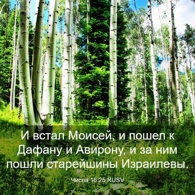 Picture 03 - Числа 16:25 RUSV - И встал Моисей, и пошел к - Bible Verse Picture