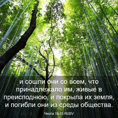 Picture 03 - Числа 16:33 RUSV - и сошли они со всем, что - Bible Verse Picture