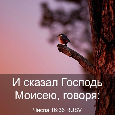 Picture 03 - Числа 16:36 RUSV - И сказал Господь Моисею, - Bible Verse Picture
