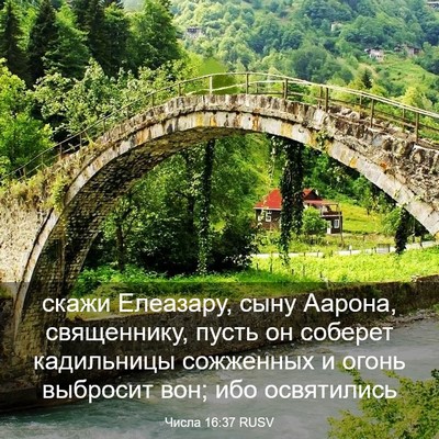 Picture 03 - Числа 16:37 RUSV - скажи Елеазару, сыну - Bible Verse Picture