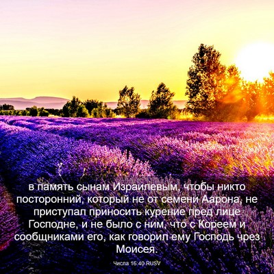 Picture 03 - Числа 16:40 RUSV - в память сынам Израилевым, - Bible Verse Picture