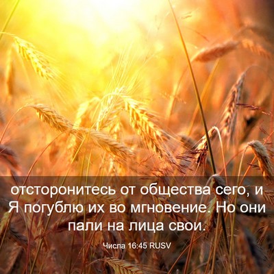 Picture 03 - Числа 16:45 RUSV - отсторонитесь от общества - Bible Verse Picture