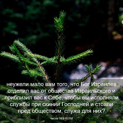 Picture 03 - Числа 16:9 RUSV - неужели мало вам того, что - Bible Verse Picture