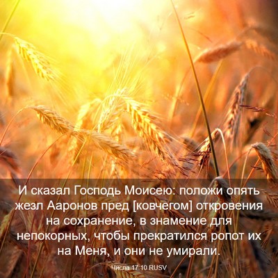 Picture 03 - Числа 17:10 RUSV - И сказал Господь Моисею: - Bible Verse Picture