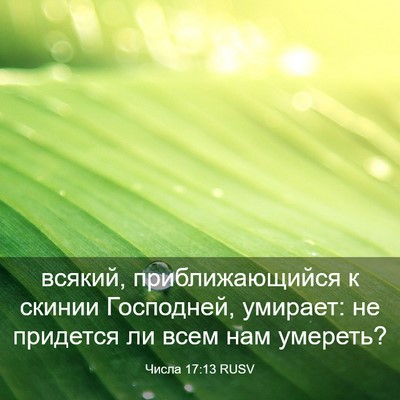 Picture 03 - Числа 17:13 RUSV - всякий, приближающийся к - Bible Verse Picture