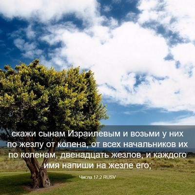 Picture 03 - Числа 17:2 RUSV - скажи сынам Израилевым и - Bible Verse Picture