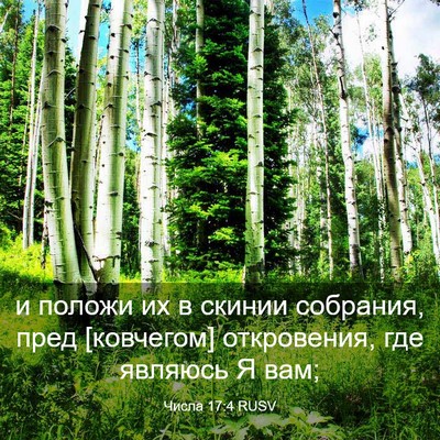 Picture 03 - Числа 17:4 RUSV - и положи их в скинии - Bible Verse Picture