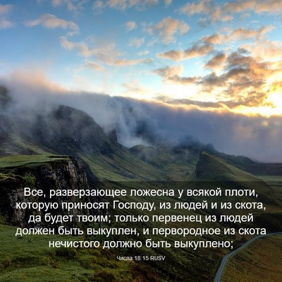 Picture 03 - Числа 18:15 RUSV - Все, разверзающее ложесна - Bible Verse Picture