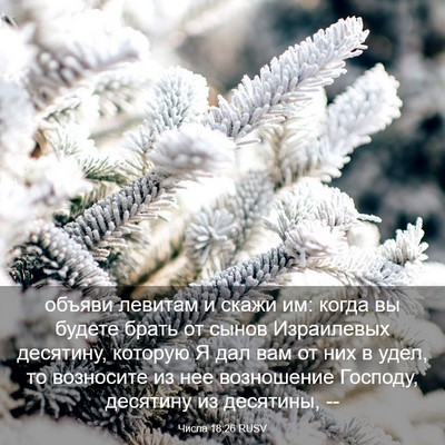 Picture 03 - Числа 18:26 RUSV - объяви левитам и скажи им: - Bible Verse Picture
