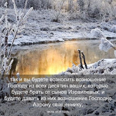 Picture 03 - Числа 18:28 RUSV - так и вы будете возносить - Bible Verse Picture
