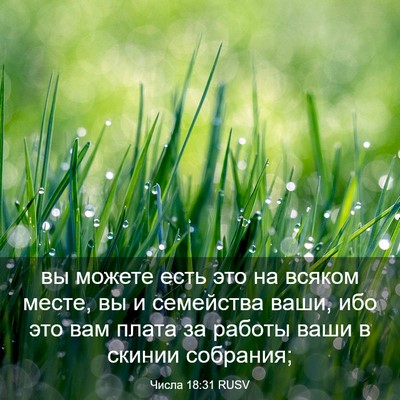 Picture 03 - Числа 18:31 RUSV - вы можете есть это на - Bible Verse Picture