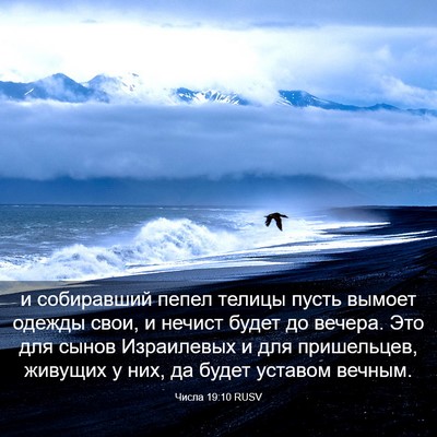 Picture 03 - Числа 19:10 RUSV - и собиравший пепел телицы - Bible Verse Picture