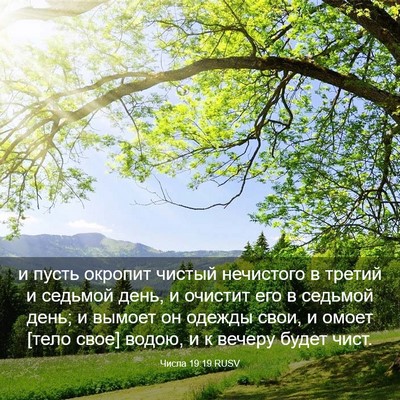 Picture 03 - Числа 19:19 RUSV - и пусть окропит чистый - Bible Verse Picture