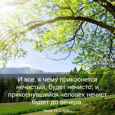 Picture 03 - Числа 19:22 RUSV - И все, к чему прикоснется - Bible Verse Picture