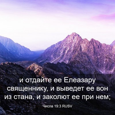Picture 03 - Числа 19:3 RUSV - и отдайте ее Елеазару - Bible Verse Picture