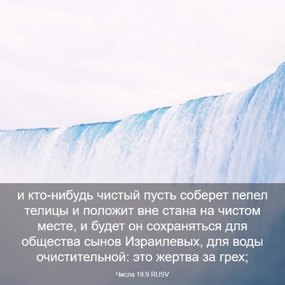 Picture 03 - Числа 19:9 RUSV - и кто-нибудь чистый пусть - Bible Verse Picture