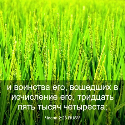 Picture 03 - Числа 2:23 RUSV - и воинства его, вошедших в - Bible Verse Picture
