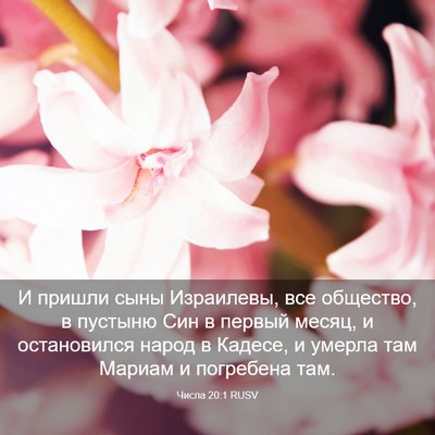 Picture 03 - Числа 20:1 RUSV - И пришли сыны Израилевы, - Bible Verse Picture