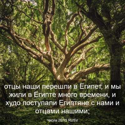 Picture 03 - Числа 20:15 RUSV - отцы наши перешли в Египет, - Bible Verse Picture