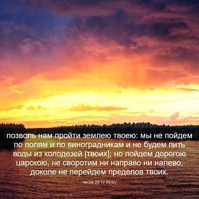 Picture 03 - Числа 20:17 RUSV - позволь нам пройти землею - Bible Verse Picture