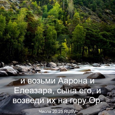 Picture 03 - Числа 20:25 RUSV - и возьми Аарона и Елеазара, - Bible Verse Picture