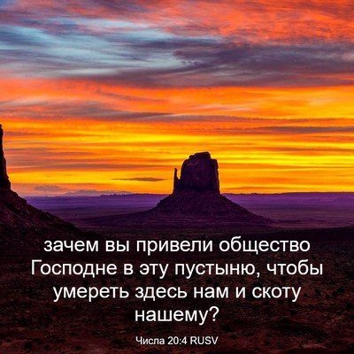 Picture 03 - Числа 20:4 RUSV - зачем вы привели общество - Bible Verse Picture