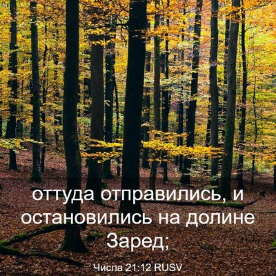 Picture 03 - Числа 21:12 RUSV - оттуда отправились, и - Bible Verse Picture