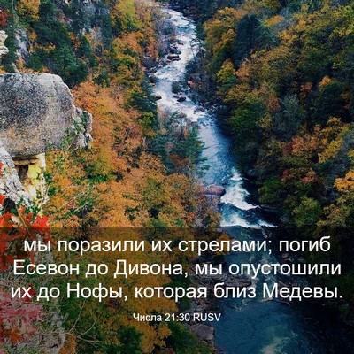 Picture 03 - Числа 21:30 RUSV - мы поразили их стрелами; - Bible Verse Picture