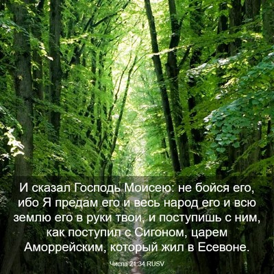 Picture 03 - Числа 21:34 RUSV - И сказал Господь Моисею: не - Bible Verse Picture