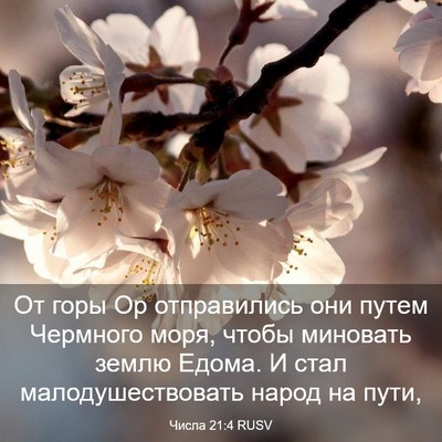 Picture 03 - Числа 21:4 RUSV - От горы Ор отправились они - Bible Verse Picture