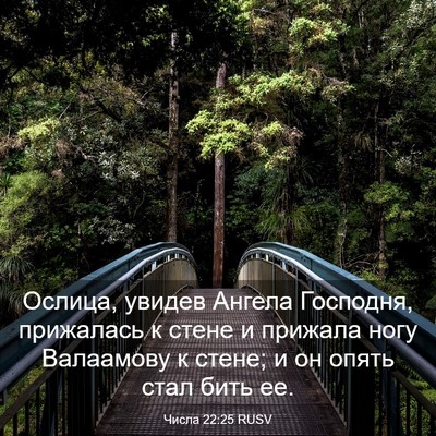 Picture 03 - Числа 22:25 RUSV - Ослица, увидев Ангела - Bible Verse Picture