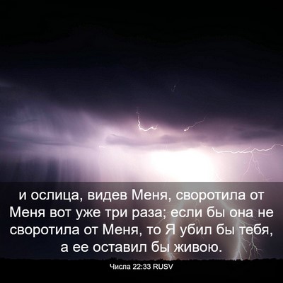Picture 03 - Числа 22:33 RUSV - и ослица, видев Меня, - Bible Verse Picture