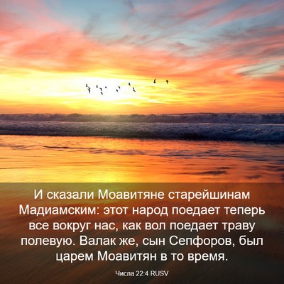 Picture 03 - Числа 22:4 RUSV - И сказали Моавитяне - Bible Verse Picture