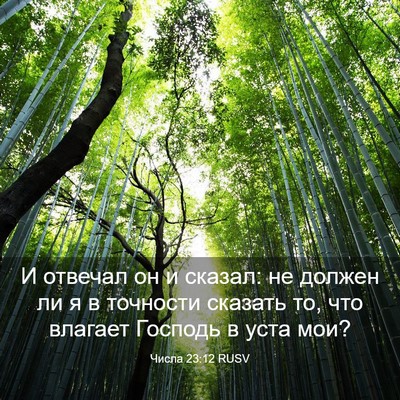 Picture 03 - Числа 23:12 RUSV - И отвечал он и сказал: не - Bible Verse Picture