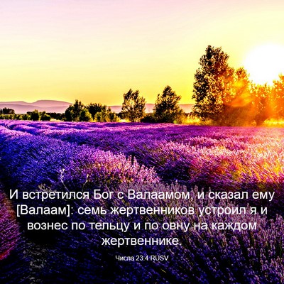 Picture 03 - Числа 23:4 RUSV - И встретился Бог с - Bible Verse Picture