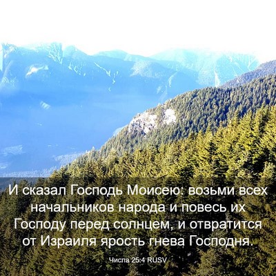 Picture 03 - Числа 25:4 RUSV - И сказал Господь Моисею: - Bible Verse Picture