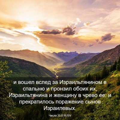 Picture 03 - Числа 25:8 RUSV - и вошел вслед за - Bible Verse Picture