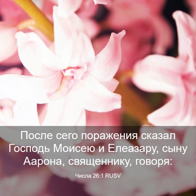 Picture 03 - Числа 26:1 RUSV - После сего поражения - Bible Verse Picture